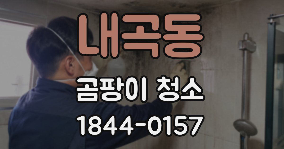 내곡동 곰팡이 청소