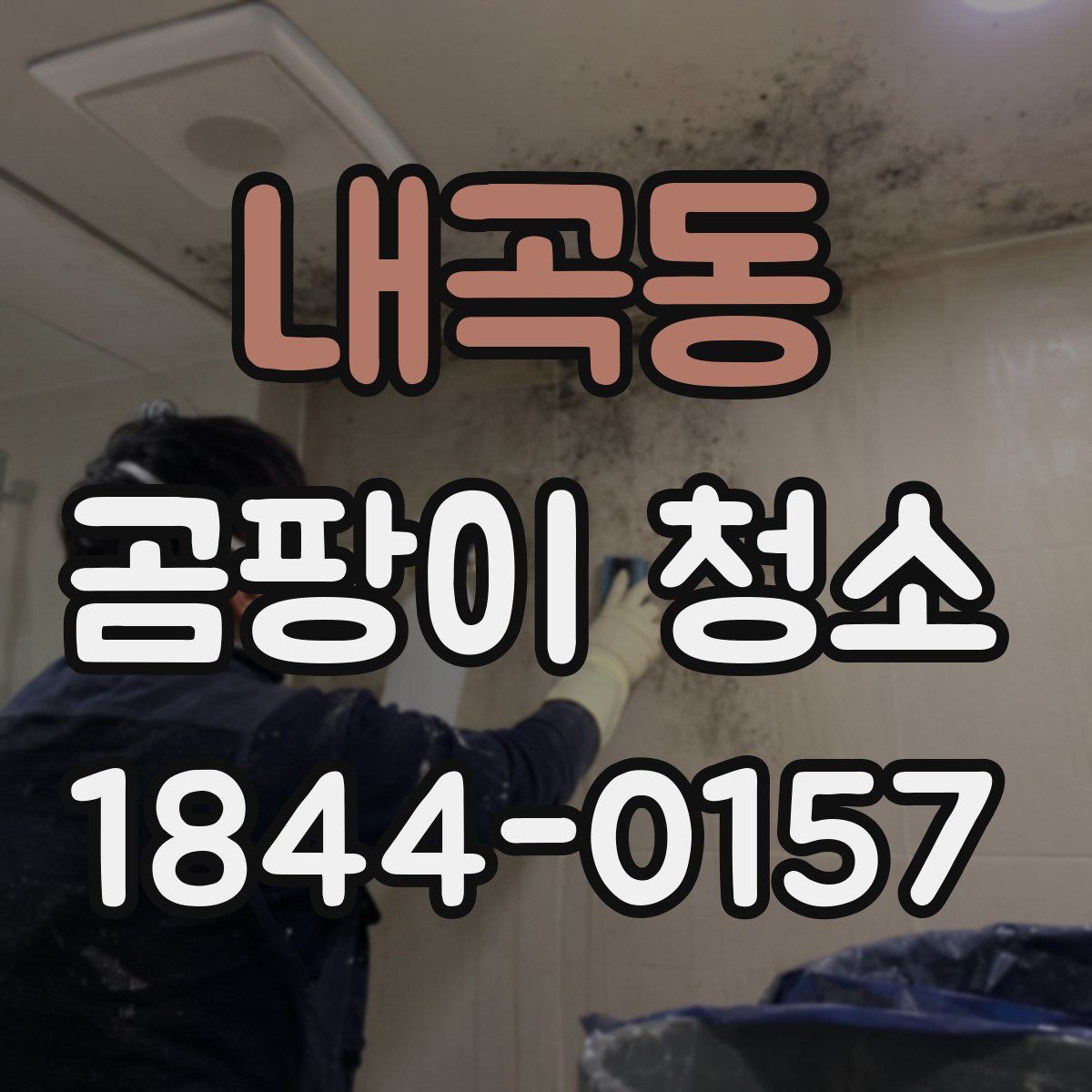 내곡동 곰팡이 청소