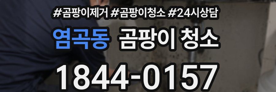 염곡동 곰팡이 청소