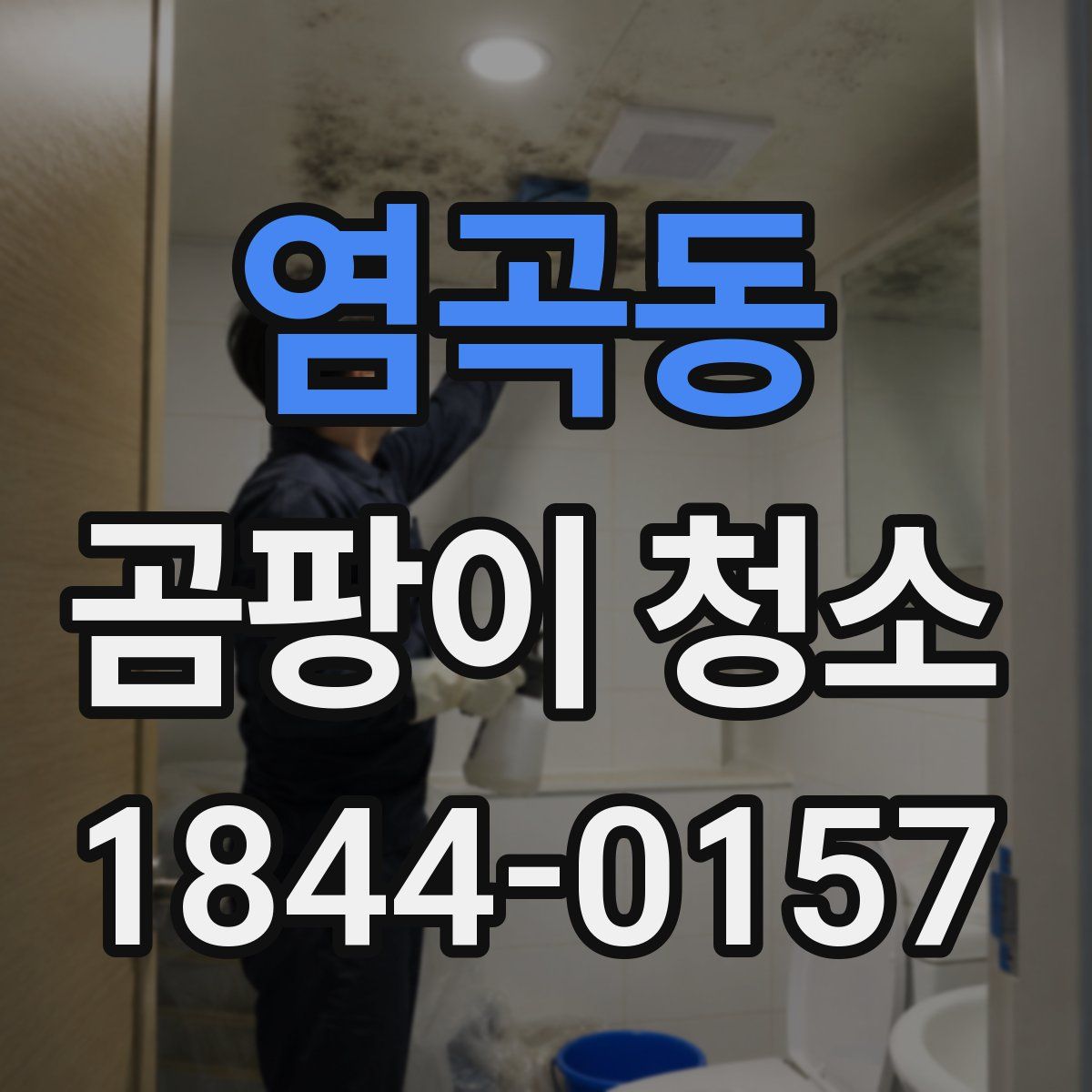 염곡동 곰팡이 청소