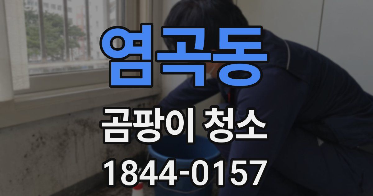 염곡동 곰팡이 청소