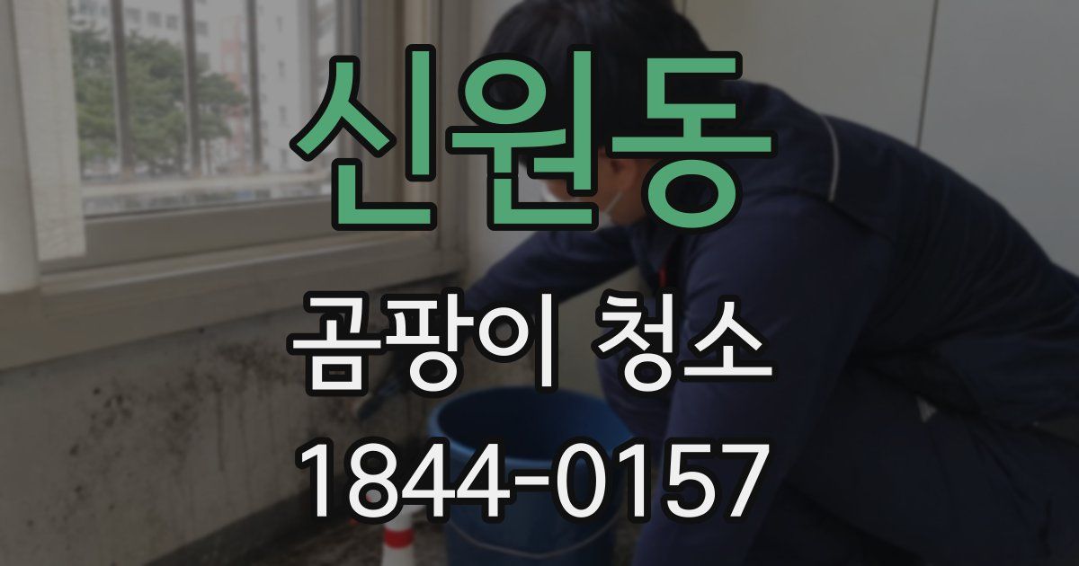 신원동 곰팡이 청소