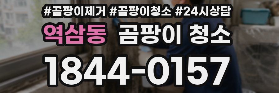 역삼동 곰팡이 청소