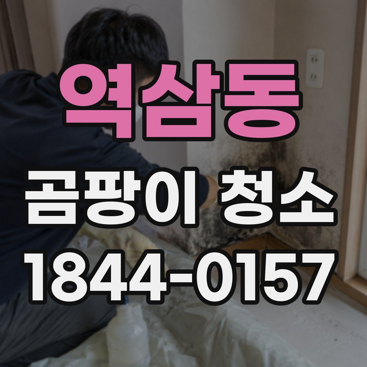 역삼동 곰팡이 청소