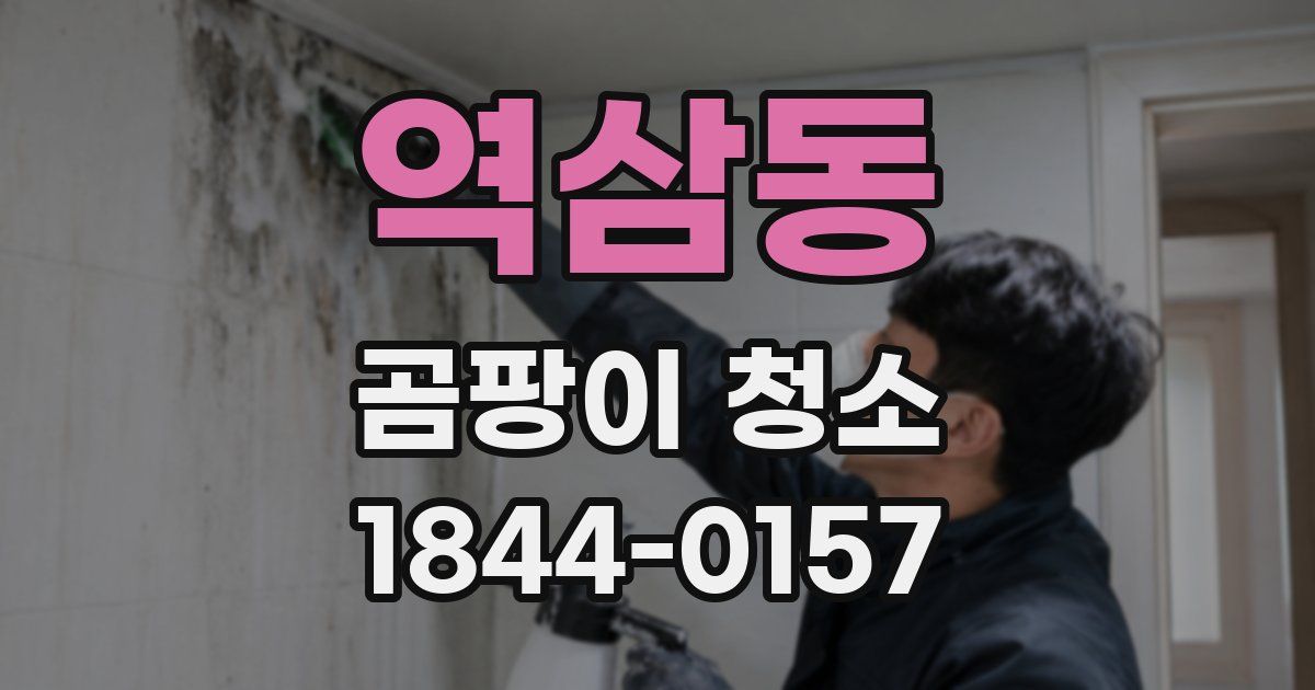 역삼동 곰팡이 청소