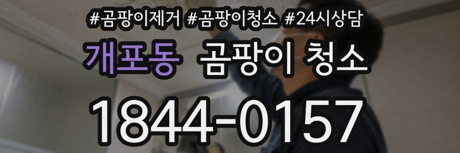 개포동 곰팡이 청소