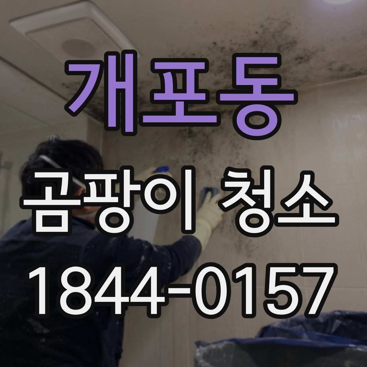 개포동 곰팡이 청소