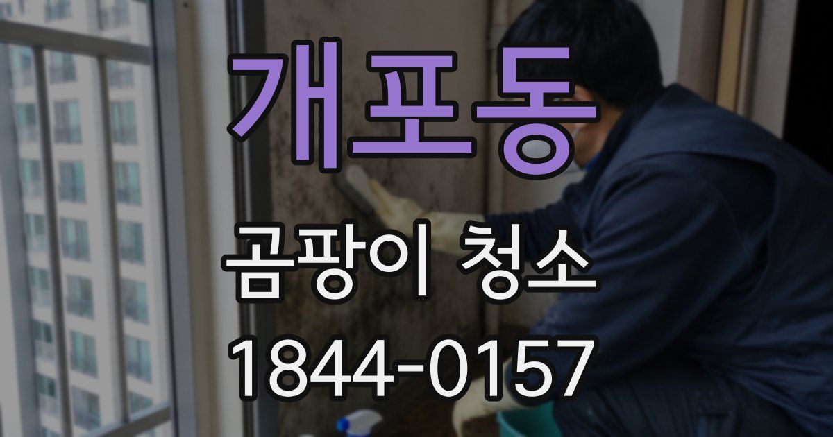 개포동 곰팡이 청소