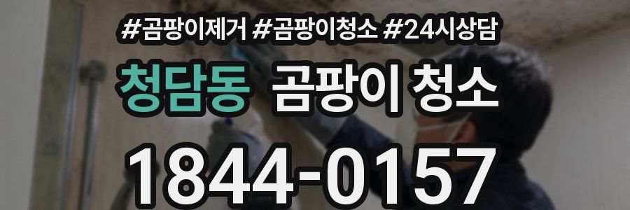 청담동 곰팡이 청소