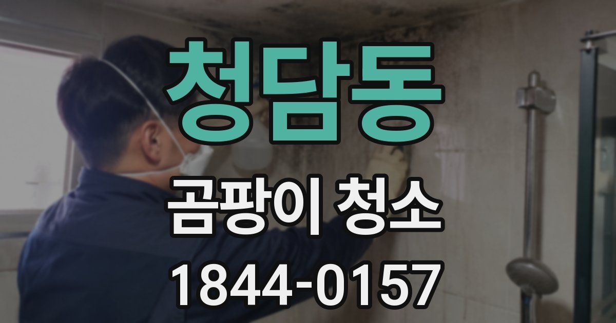 청담동 곰팡이 청소