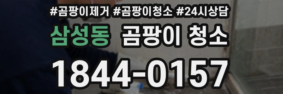 삼성동 곰팡이 청소