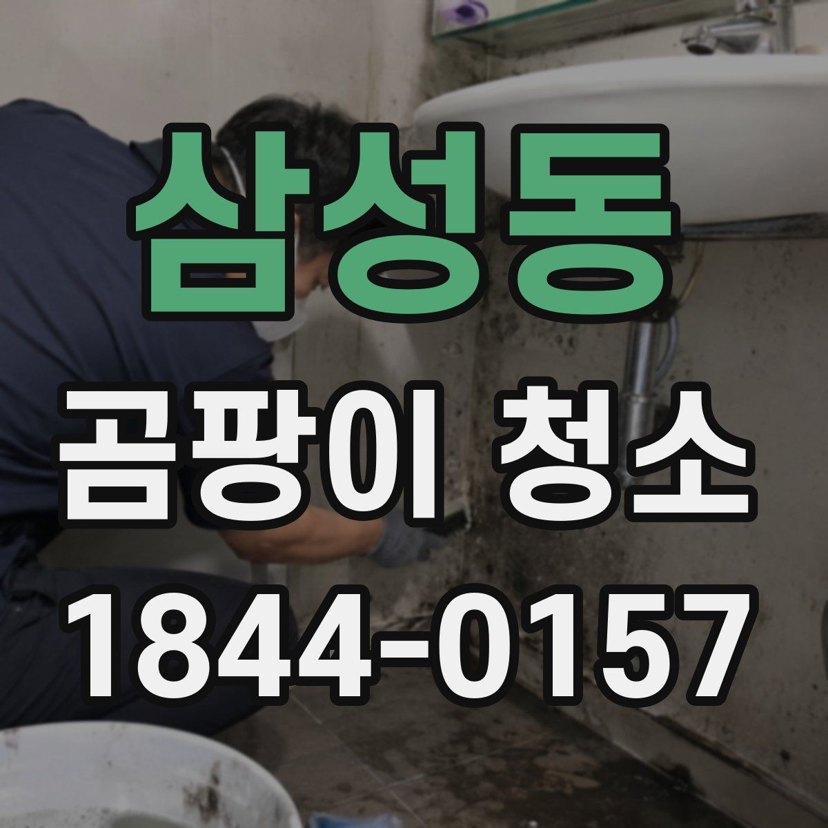 삼성동 곰팡이 청소