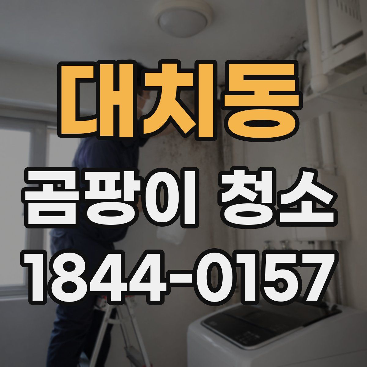 대치동 곰팡이 청소