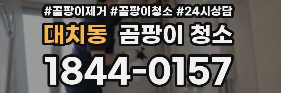 대치동 곰팡이 청소