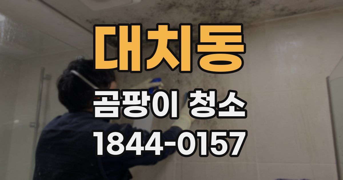 대치동 곰팡이 청소