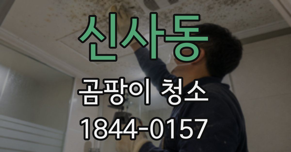 신사동 곰팡이 청소
