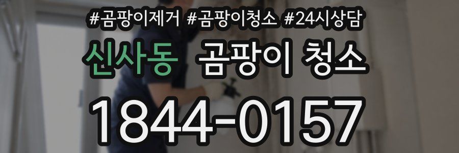 신사동 곰팡이 청소