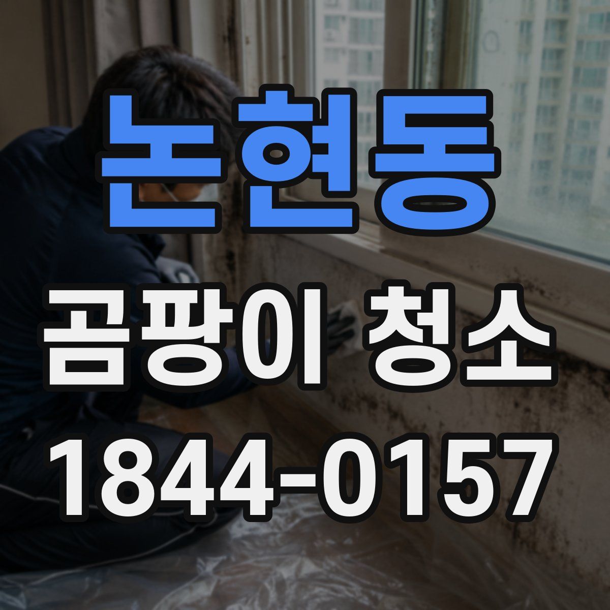 논현동 곰팡이 청소