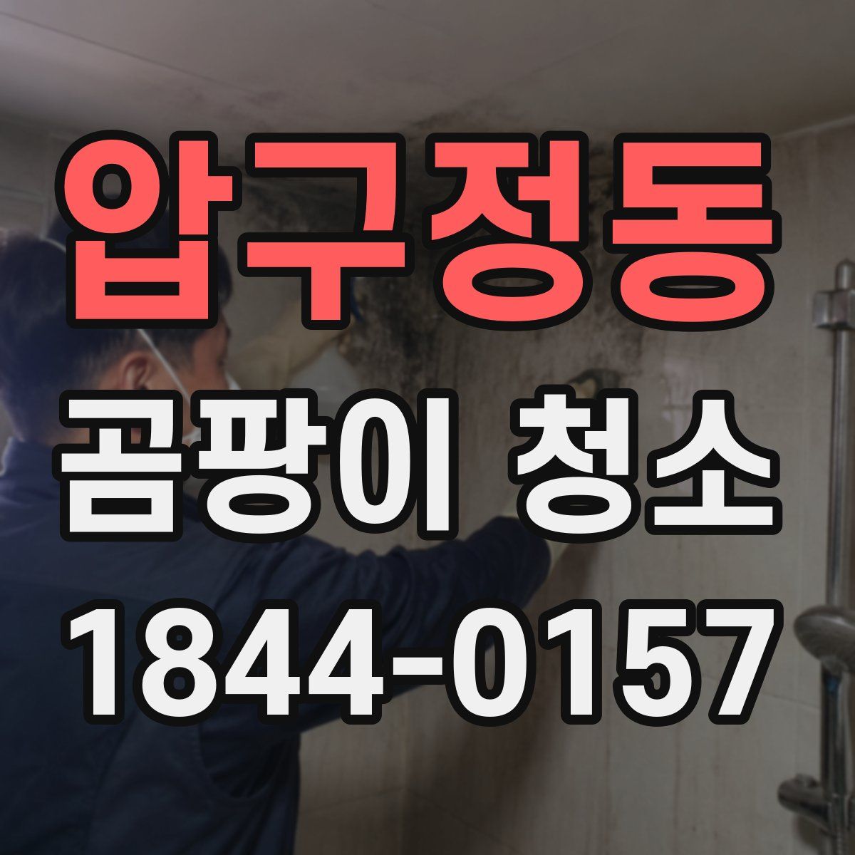 압구정동 곰팡이 청소