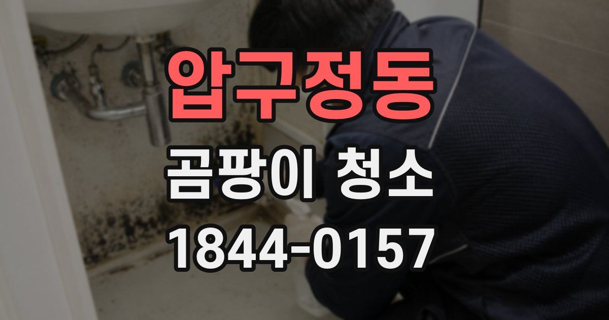 압구정동 곰팡이 청소