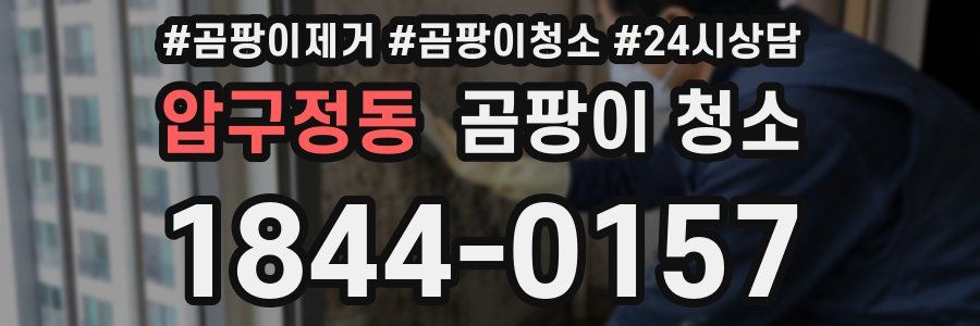 압구정동 곰팡이 청소