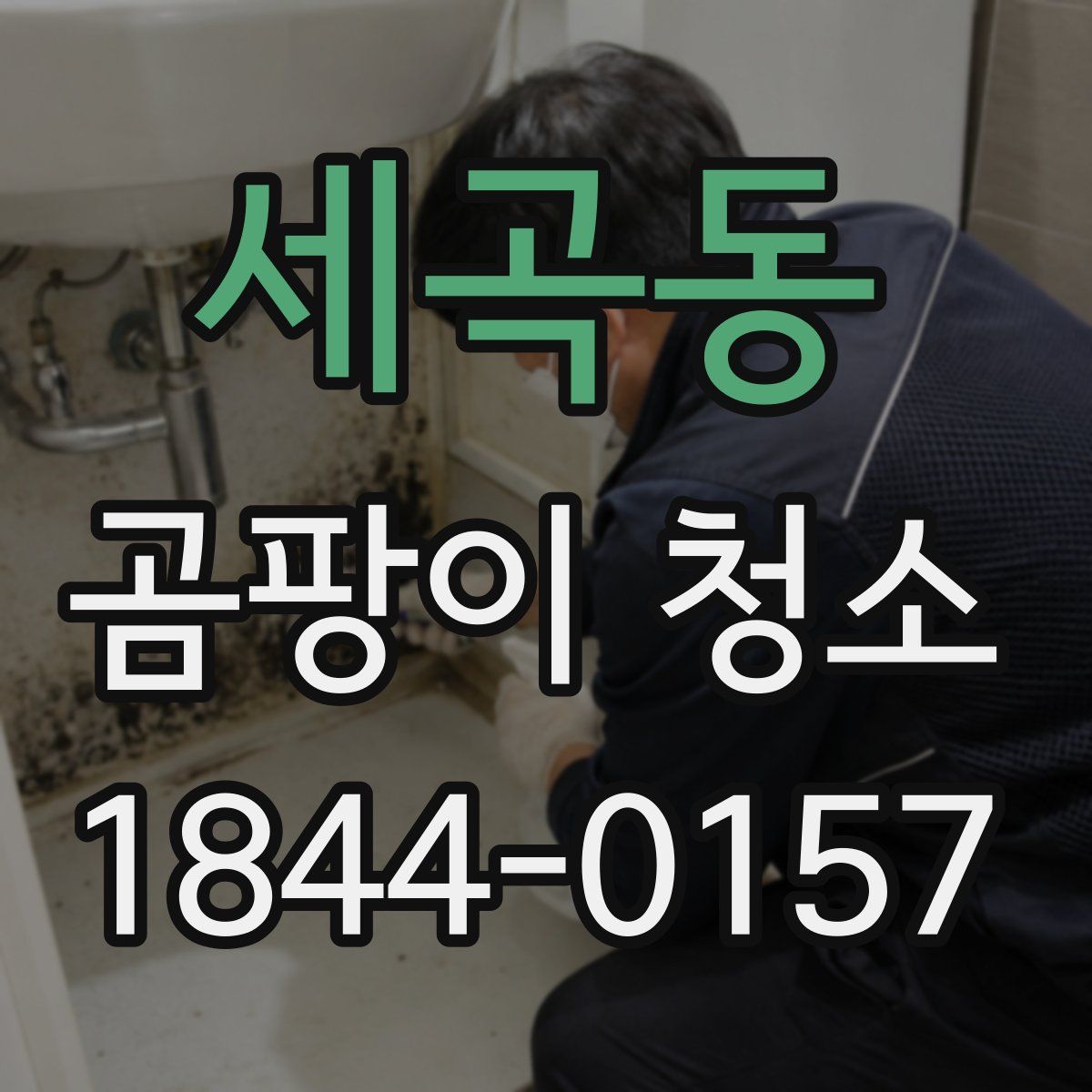 세곡동 곰팡이 청소