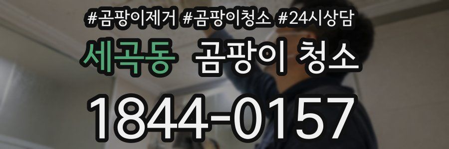 세곡동 곰팡이 청소