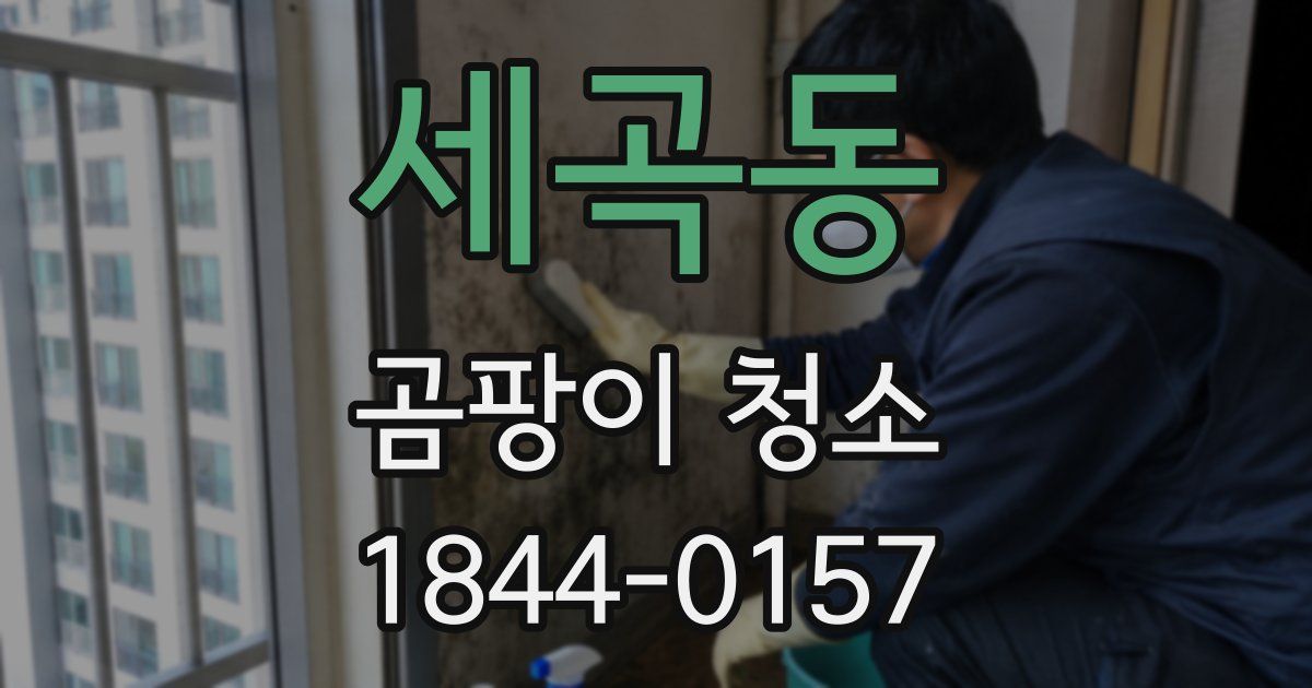 세곡동 곰팡이 청소