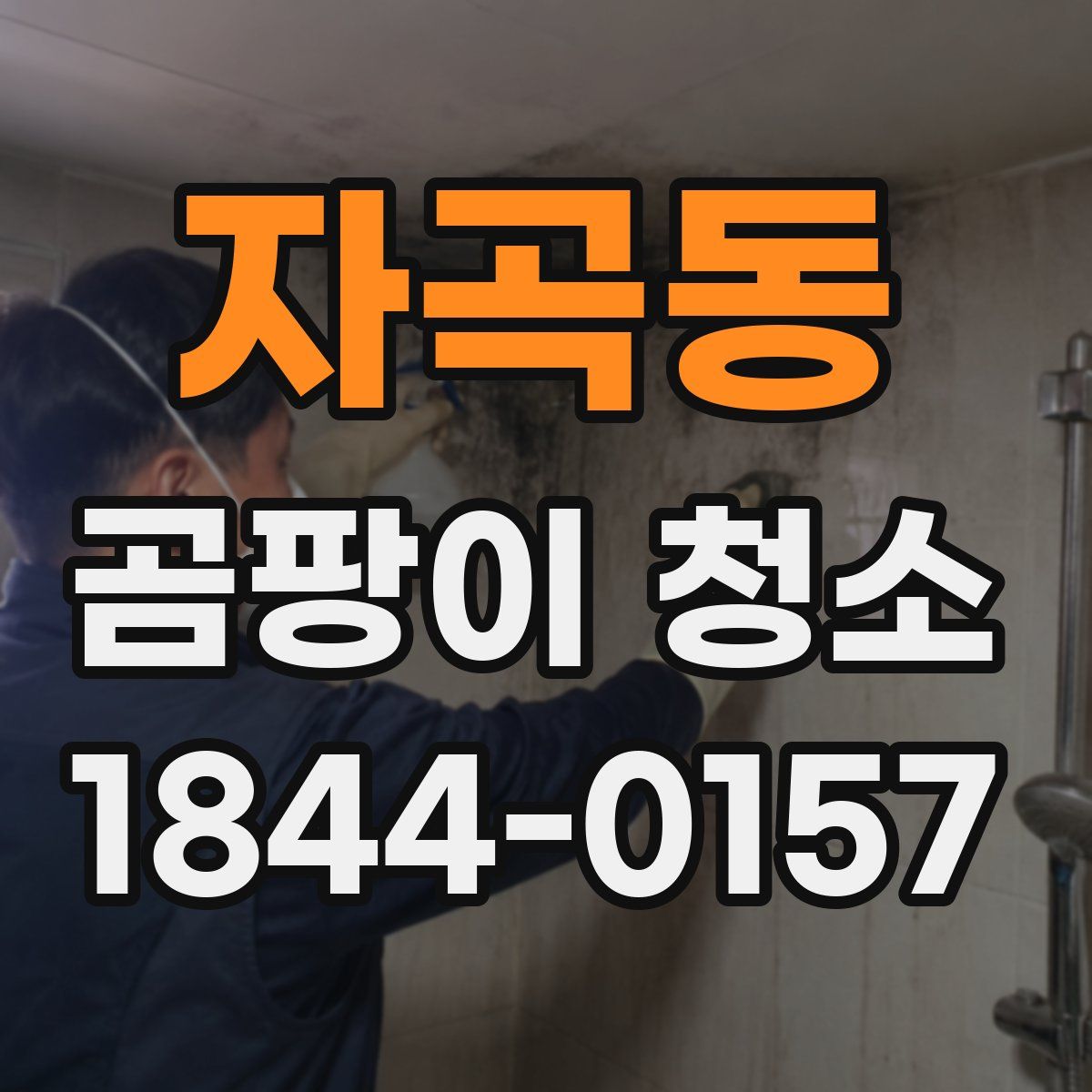 자곡동 곰팡이 청소