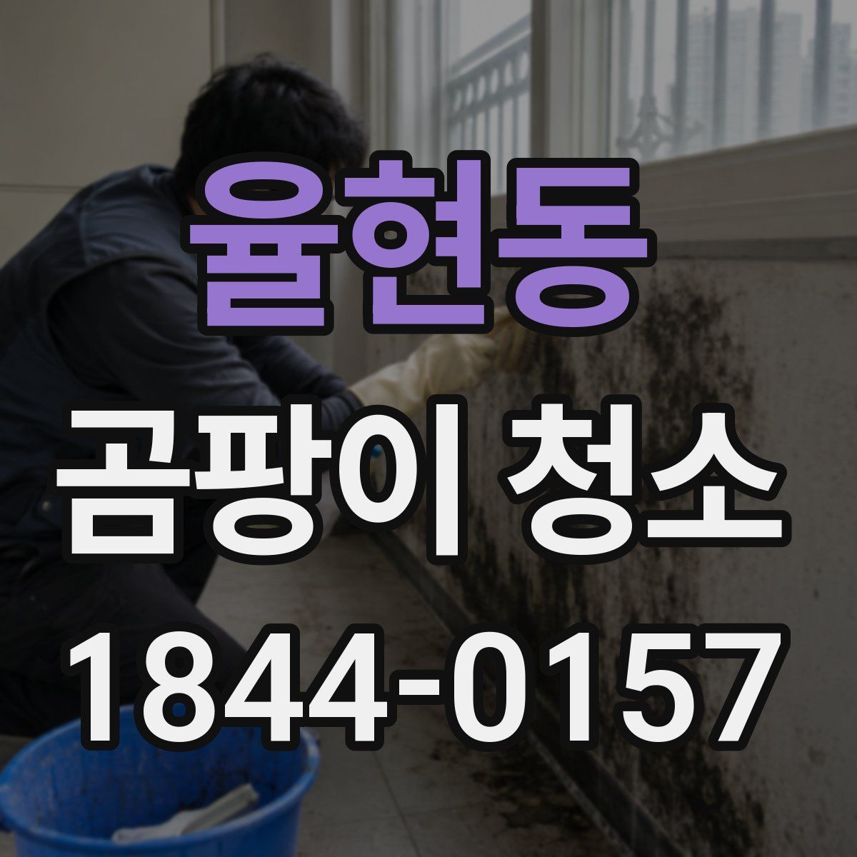 율현동 곰팡이 청소