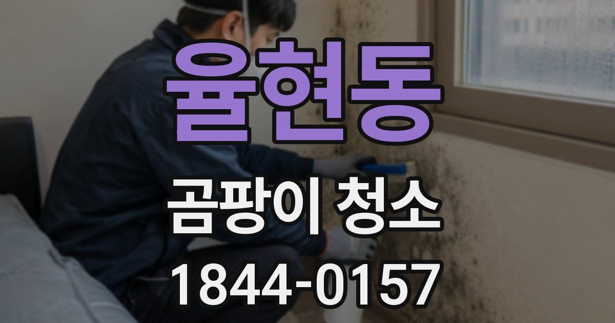 율현동 곰팡이 청소