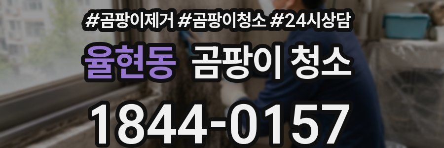 율현동 곰팡이 청소