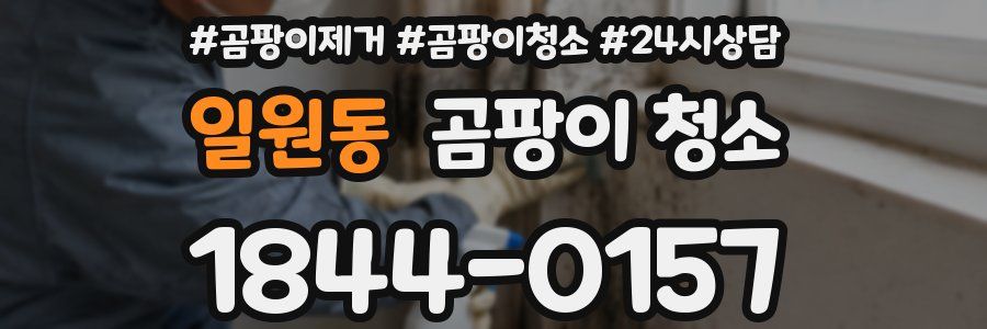 일원동 곰팡이 청소