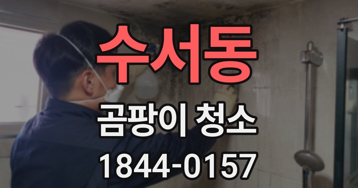 수서동 곰팡이 청소