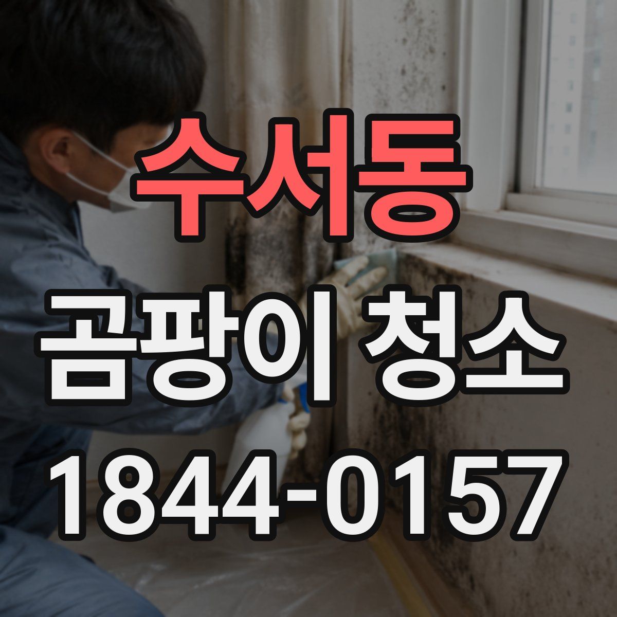 수서동 곰팡이 청소