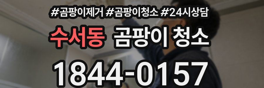 수서동 곰팡이 청소
