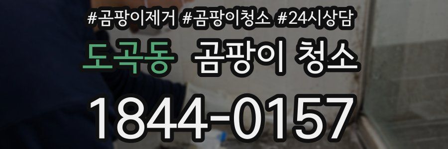 도곡동 곰팡이 청소