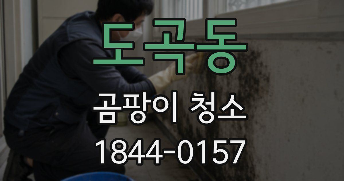 도곡동 곰팡이 청소