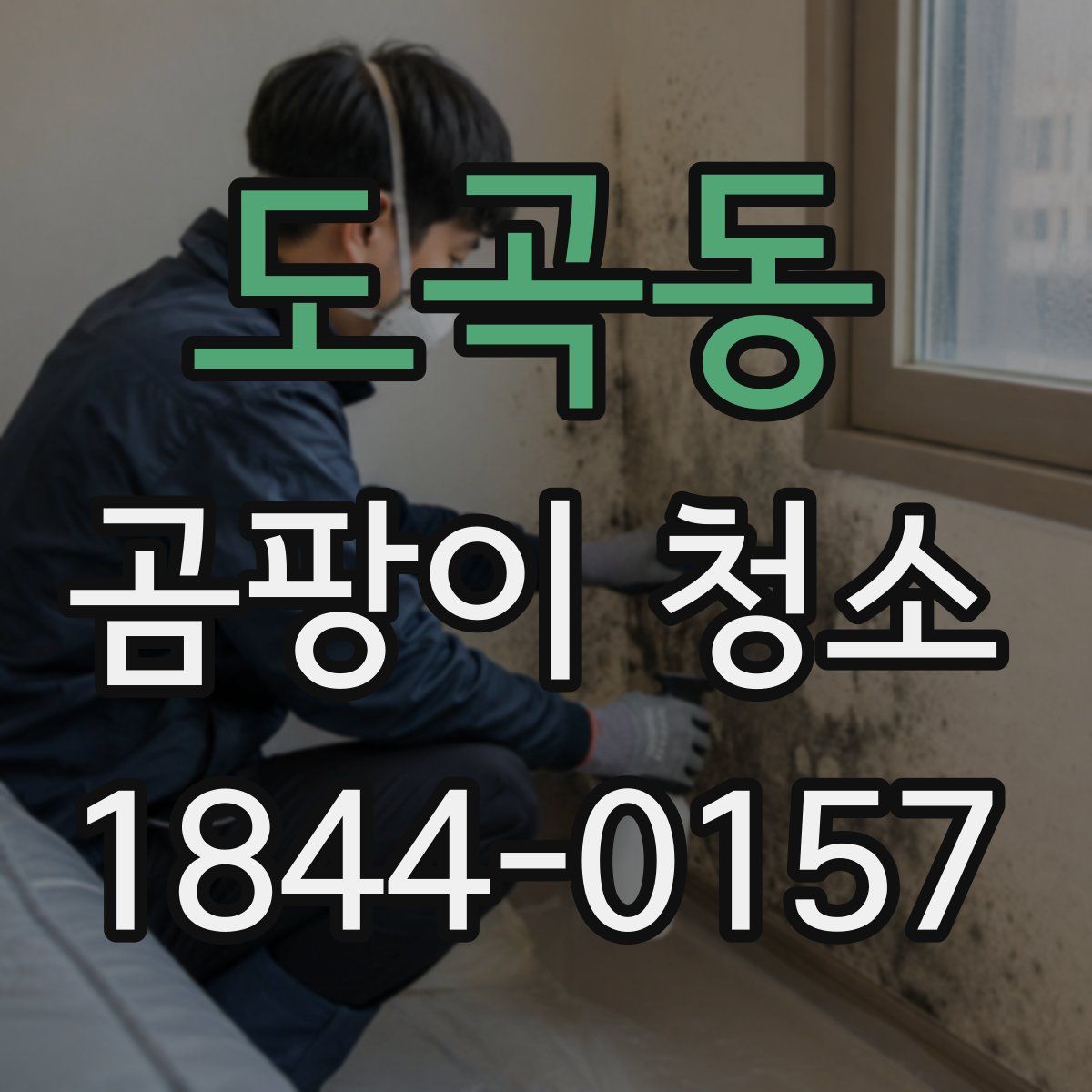 도곡동 곰팡이 청소
