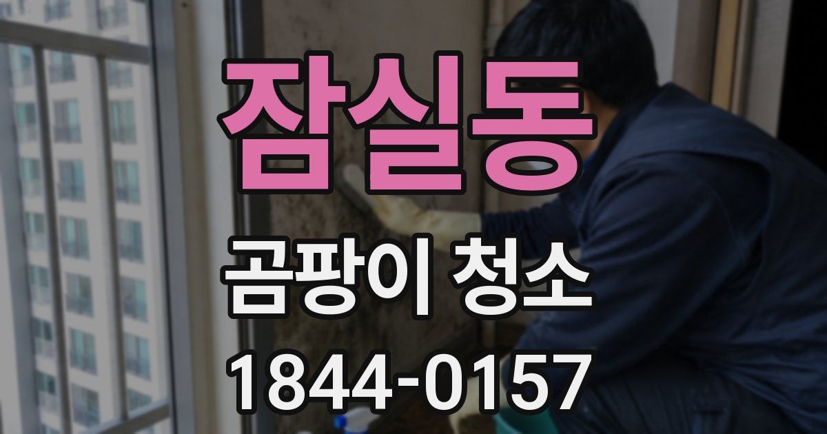 잠실동 곰팡이 청소