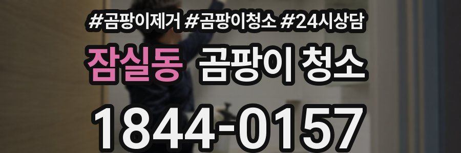 잠실동 곰팡이 청소