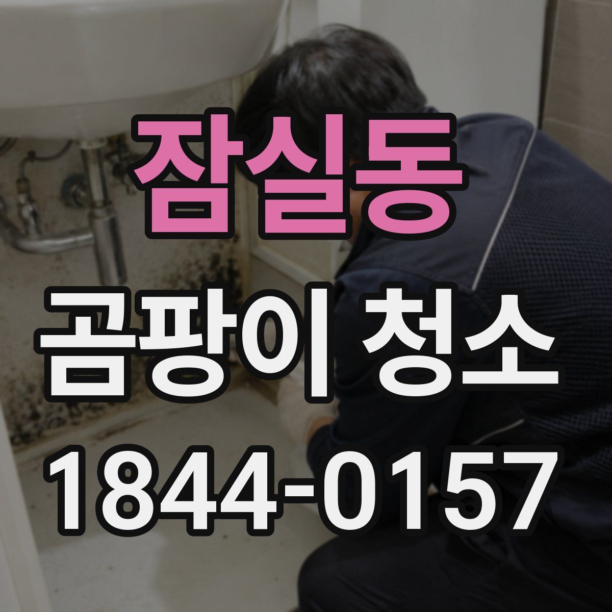 잠실동 곰팡이 청소