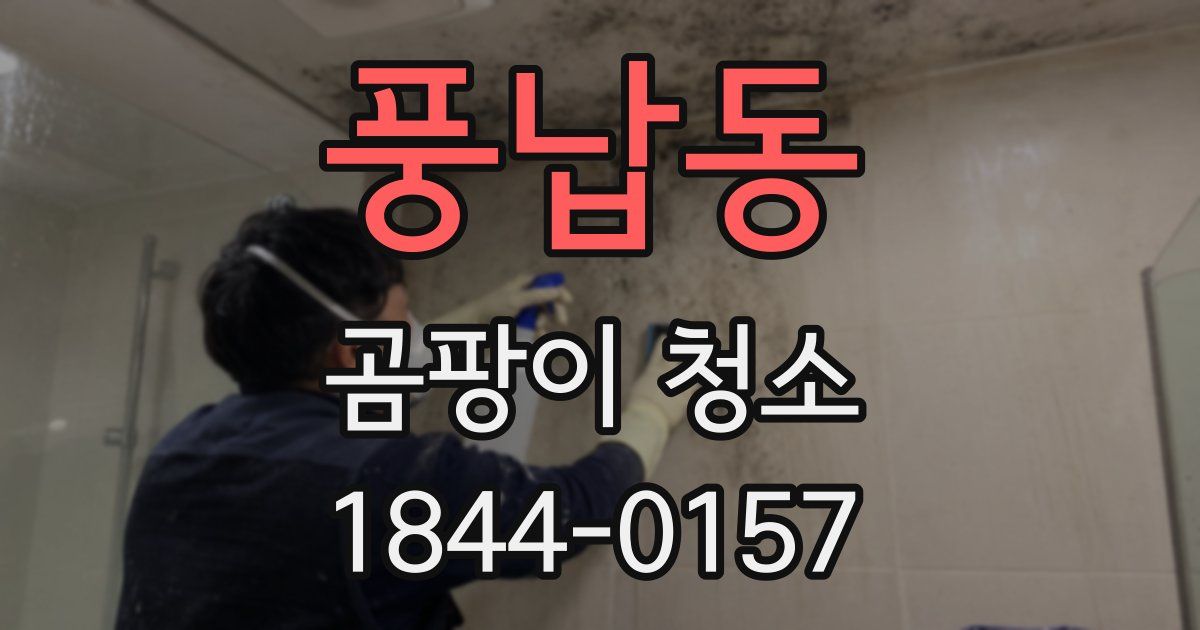 풍납동 곰팡이 청소