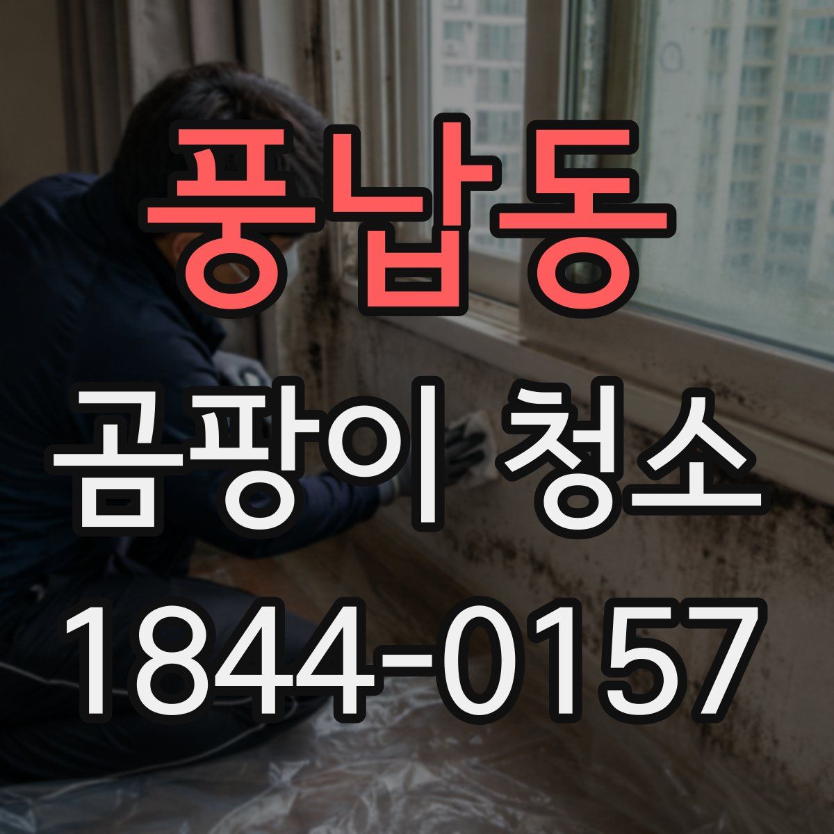 풍납동 곰팡이 청소