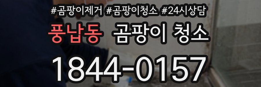 풍납동 곰팡이 청소