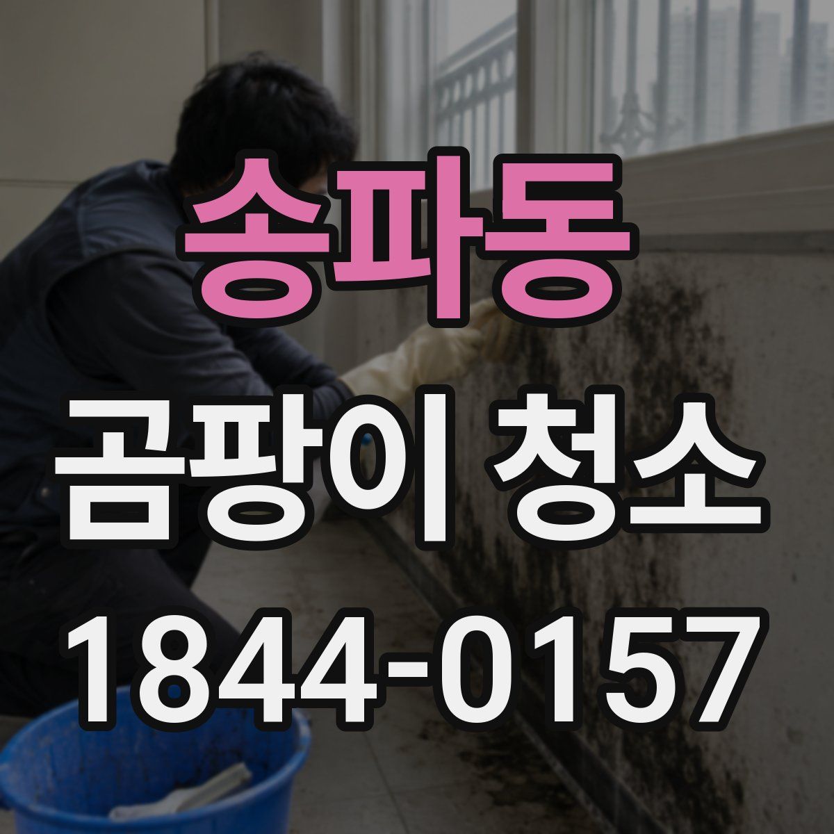 송파동 곰팡이 청소