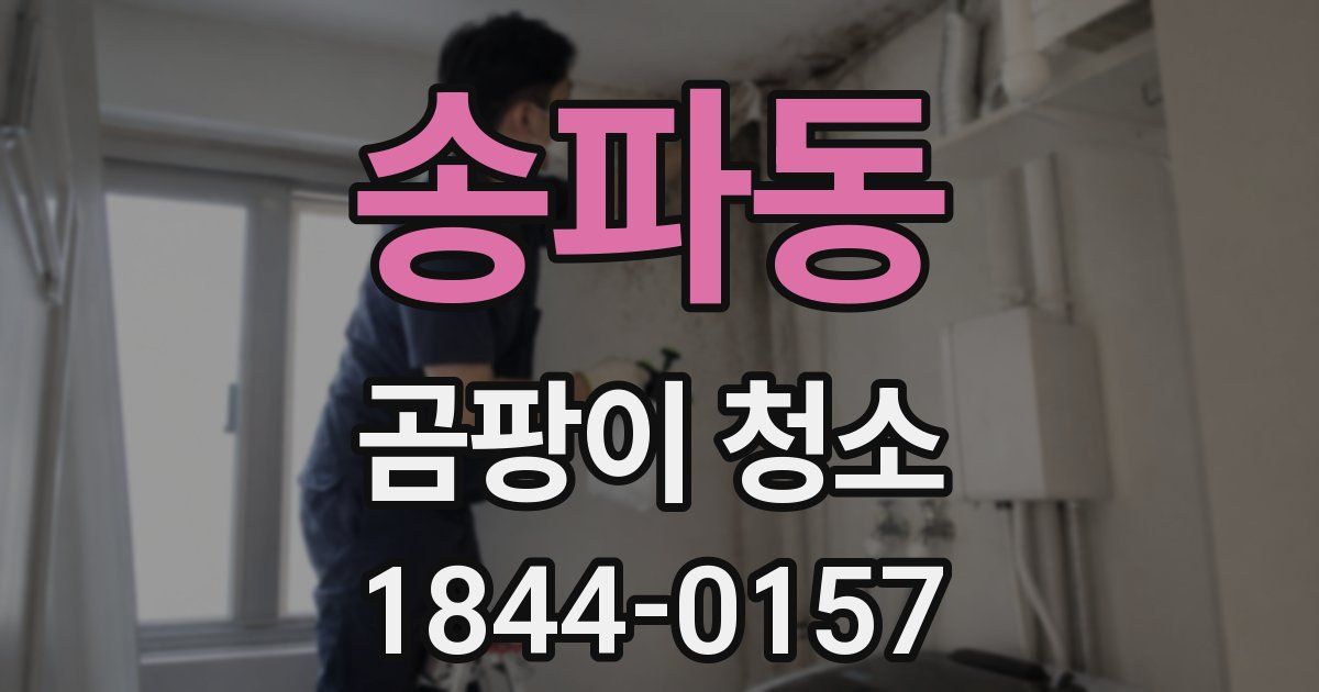 송파동 곰팡이 청소