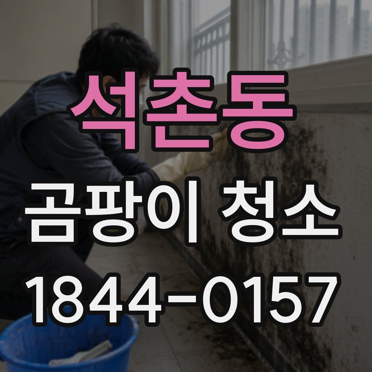 석촌동 곰팡이 청소