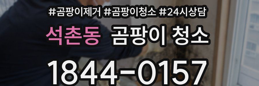석촌동 곰팡이 청소
