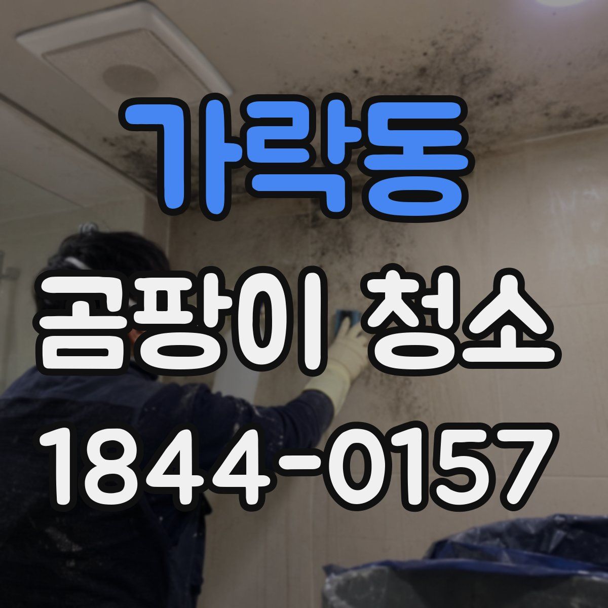 가락동 곰팡이 청소